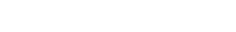 Expertise Langues